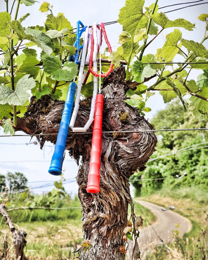 Corde à sauter perlée - Collection World - Cocorico